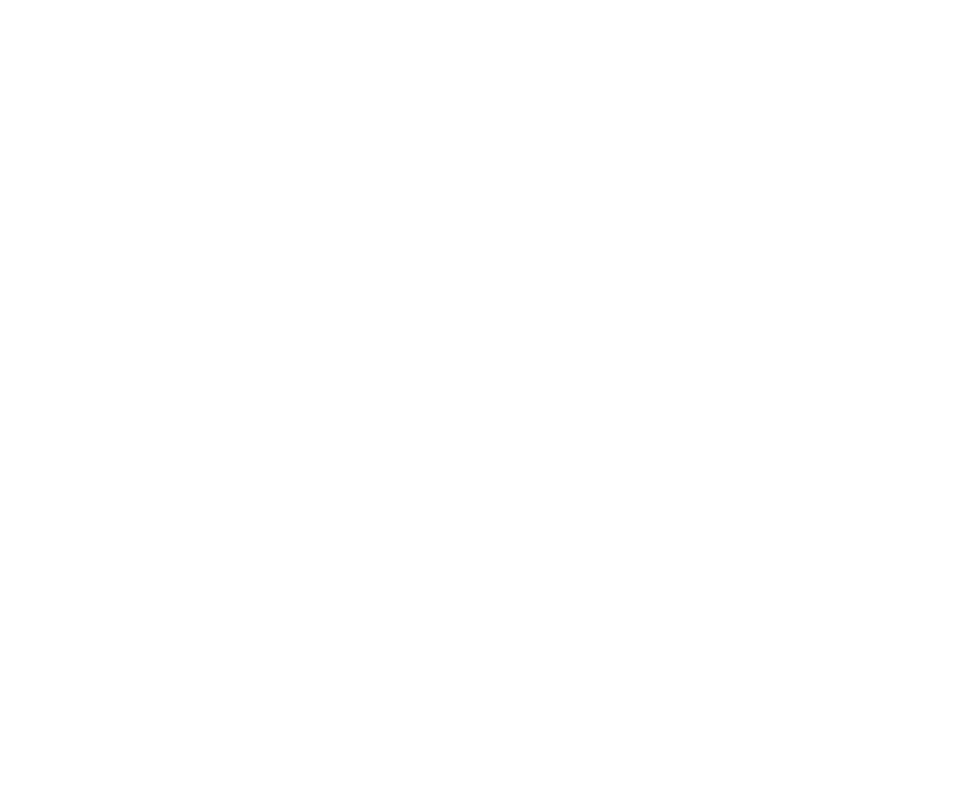 International Leaders Project